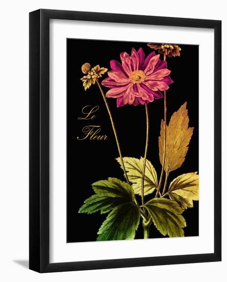 Anemone Japonica-Mindy Sommers-Framed Giclee Print