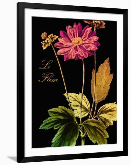 Anemone Japonica-Mindy Sommers-Framed Giclee Print