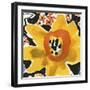 Anemone Meadow-Kristine Hegre-Framed Giclee Print