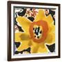 Anemone Meadow-Kristine Hegre-Framed Giclee Print