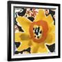 Anemone Meadow-Kristine Hegre-Framed Giclee Print