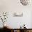Anemone morning-Heidi Westum-Photographic Print displayed on a wall