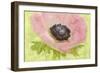 Anemone Pink and Lime-Cora Niele-Framed Giclee Print