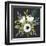 Anemone Posy I-null-Framed Art Print