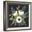 Anemone Posy I-null-Framed Art Print