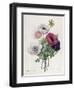 Anemone: Simple, from "Les Choix Des Plus Belles Fleurs"-Pierre-Joseph Redouté-Framed Giclee Print