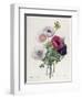 Anemone: Simple, from "Les Choix Des Plus Belles Fleurs"-Pierre-Joseph Redouté-Framed Giclee Print