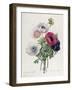 Anemone: Simple, from "Les Choix Des Plus Belles Fleurs"-Pierre-Joseph Redouté-Framed Giclee Print