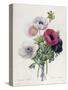 Anemone: Simple, from "Les Choix Des Plus Belles Fleurs"-Pierre-Joseph Redouté-Stretched Canvas