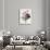 Anemone: Simple, from "Les Choix Des Plus Belles Fleurs"-Pierre-Joseph Redouté-Giclee Print displayed on a wall