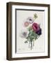 Anemone: Simple, from "Les Choix Des Plus Belles Fleurs"-Pierre-Joseph Redouté-Framed Premium Giclee Print