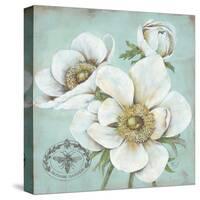 Anemone Stamp-Stefania Ferri-Stretched Canvas