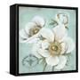 Anemone Stamp-Stefania Ferri-Framed Stretched Canvas