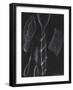 Anemone Stinging Cells-Philip Henry Gosse-Framed Giclee Print