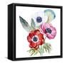 Anemone, Watercolor, Flowers, Feathers-Anastasia Lembrik-Framed Stretched Canvas