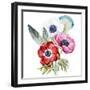 Anemone, Watercolor, Flowers, Feathers-Anastasia Lembrik-Framed Art Print