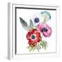 Anemone, Watercolor, Flowers, Feathers-Anastasia Lembrik-Framed Art Print