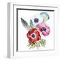 Anemone, Watercolor, Flowers, Feathers-Anastasia Lembrik-Framed Art Print