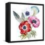 Anemone, Watercolor, Flowers, Feathers-Anastasia Lembrik-Framed Stretched Canvas