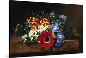 Anemone, White Spirea, Calceolaria and Blue Geranium-Johan Laurentz Jensen-Stretched Canvas