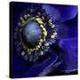 Anemone-Magda Indigo-Stretched Canvas