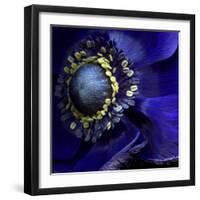 Anemone-Magda Indigo-Framed Photographic Print