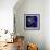 Anemone-Magda Indigo-Framed Photographic Print displayed on a wall