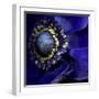 Anemone-Magda Indigo-Framed Photographic Print