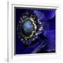 Anemone-Magda Indigo-Framed Photographic Print