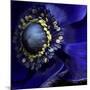 Anemone-Magda Indigo-Mounted Photographic Print