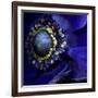 Anemone-Magda Indigo-Framed Photographic Print