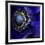 Anemone-Magda Indigo-Framed Photographic Print