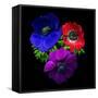 Anemone-Magda Indigo-Framed Stretched Canvas