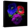 Anemone-Magda Indigo-Framed Stretched Canvas