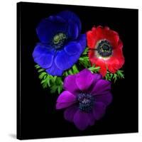 Anemone-Magda Indigo-Stretched Canvas