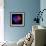 Anemone-Magda Indigo-Framed Photographic Print displayed on a wall