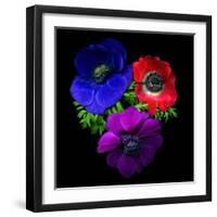 Anemone-Magda Indigo-Framed Photographic Print