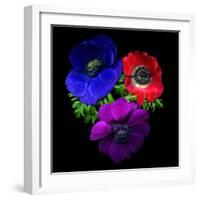 Anemone-Magda Indigo-Framed Photographic Print