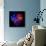 Anemone-Magda Indigo-Photographic Print displayed on a wall