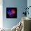 Anemone-Magda Indigo-Mounted Photographic Print displayed on a wall