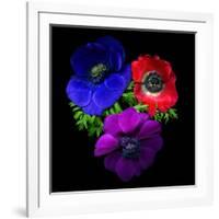 Anemone-Magda Indigo-Framed Photographic Print