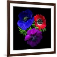 Anemone-Magda Indigo-Framed Photographic Print