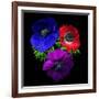 Anemone-Magda Indigo-Framed Photographic Print