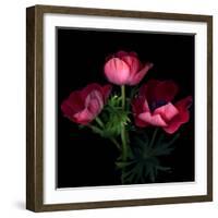 Anemone-Magda Indigo-Framed Photographic Print