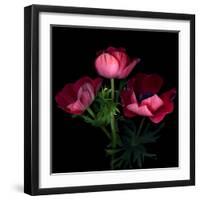 Anemone-Magda Indigo-Framed Photographic Print