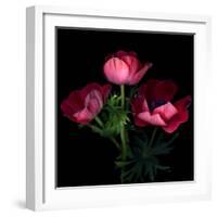 Anemone-Magda Indigo-Framed Photographic Print