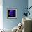 anemone-Magda Indigo-Framed Photographic Print displayed on a wall