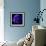 anemone-Magda Indigo-Framed Photographic Print displayed on a wall