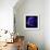 anemone-Magda Indigo-Framed Photographic Print displayed on a wall