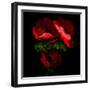 anemone-Magda Indigo-Framed Photographic Print